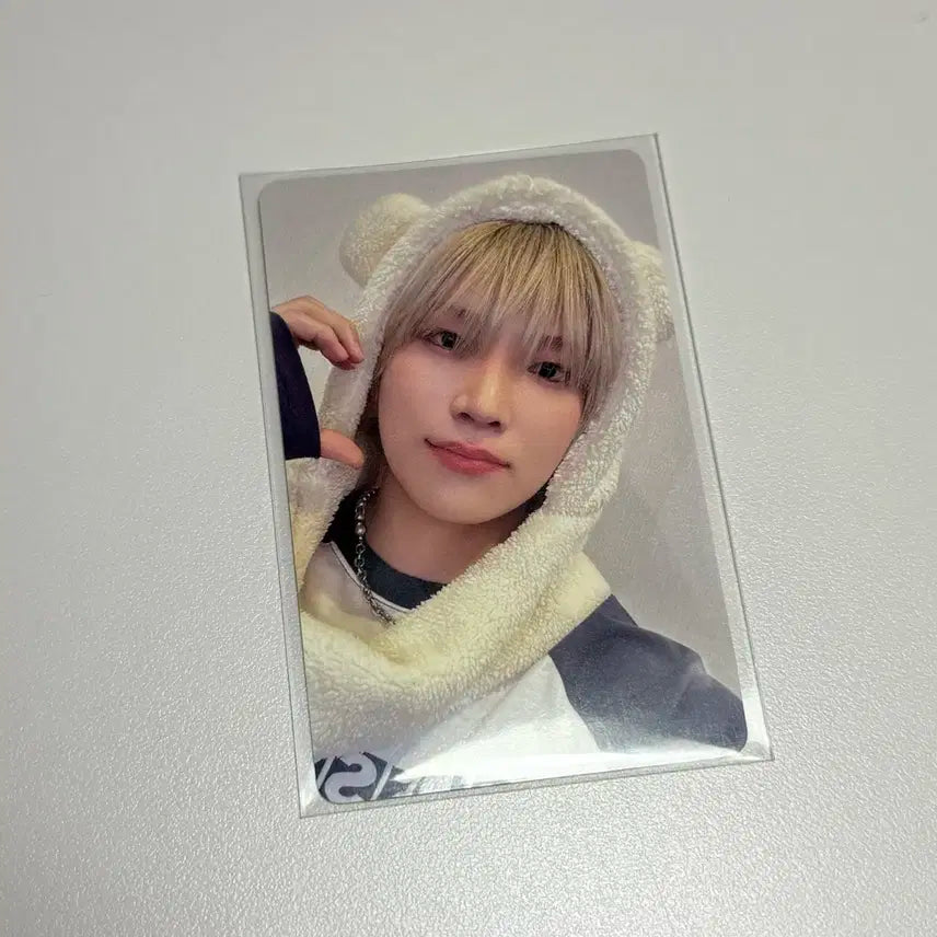 앤팀 유마 포카 유키아카리 후와후와 애니멀 포카 유니버셜 위버스재팬