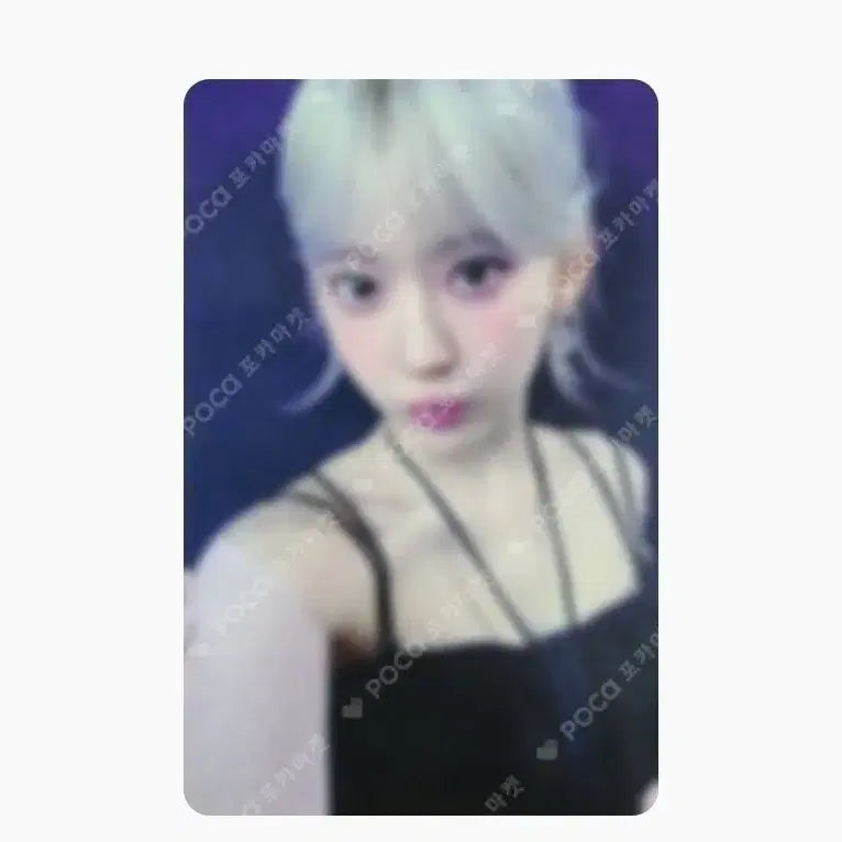 르세라핌 이지 사쿠라 아이돌스테이 판매