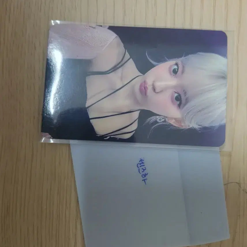 르세라핌 이지 사쿠라 아이돌스테이 판매