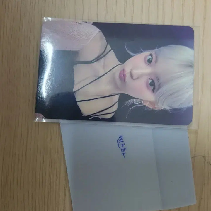 르세라핌 이지 사쿠라 아이돌스테이 판매