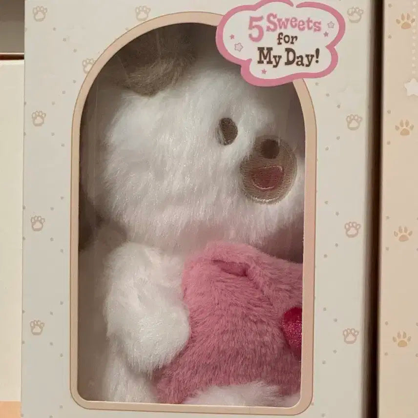 데이식스 데니멀즈 쁘띠멀즈 플러시 보이스 인형 돈