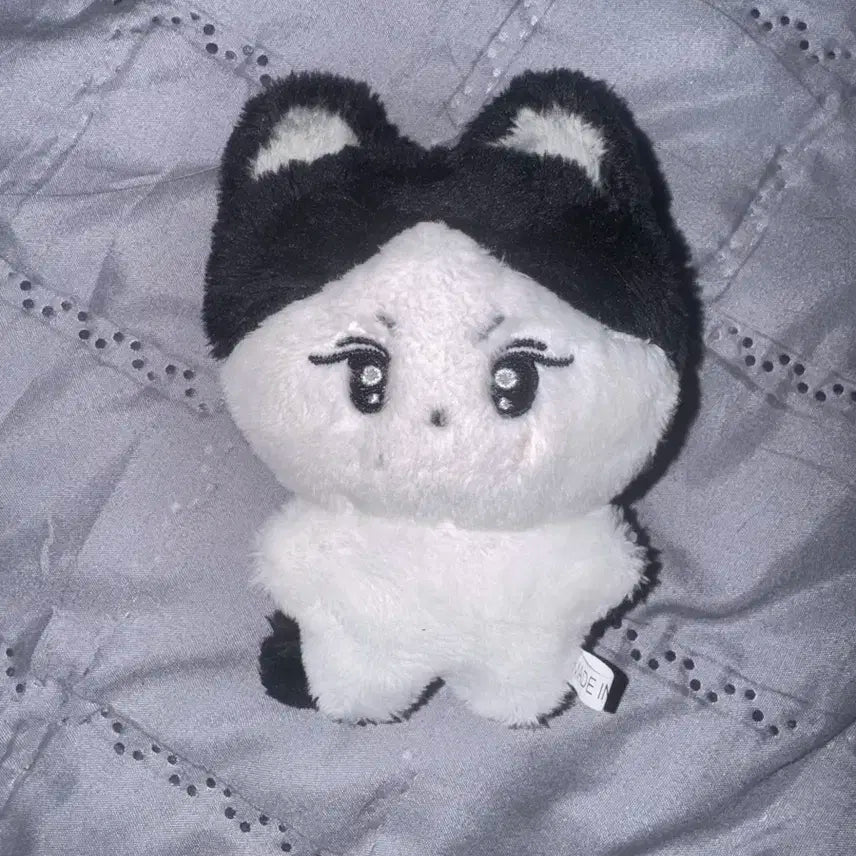 엔하이픈 정원 인형 카레양