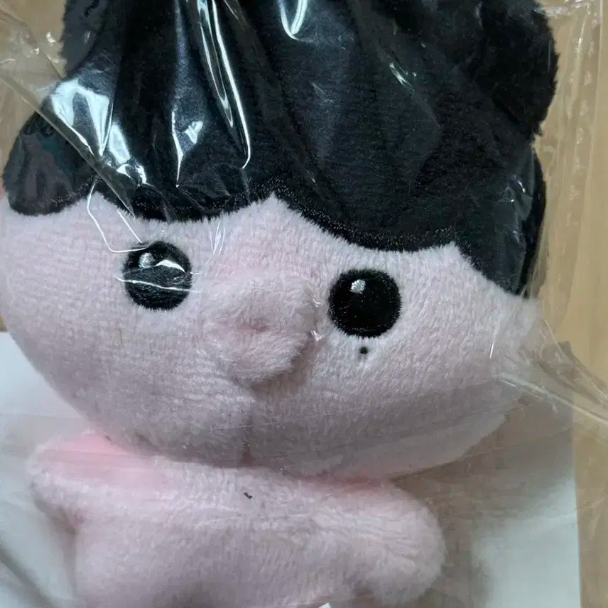 엔시티 위시 사쿠야 듀듀야 인형 양도합니다