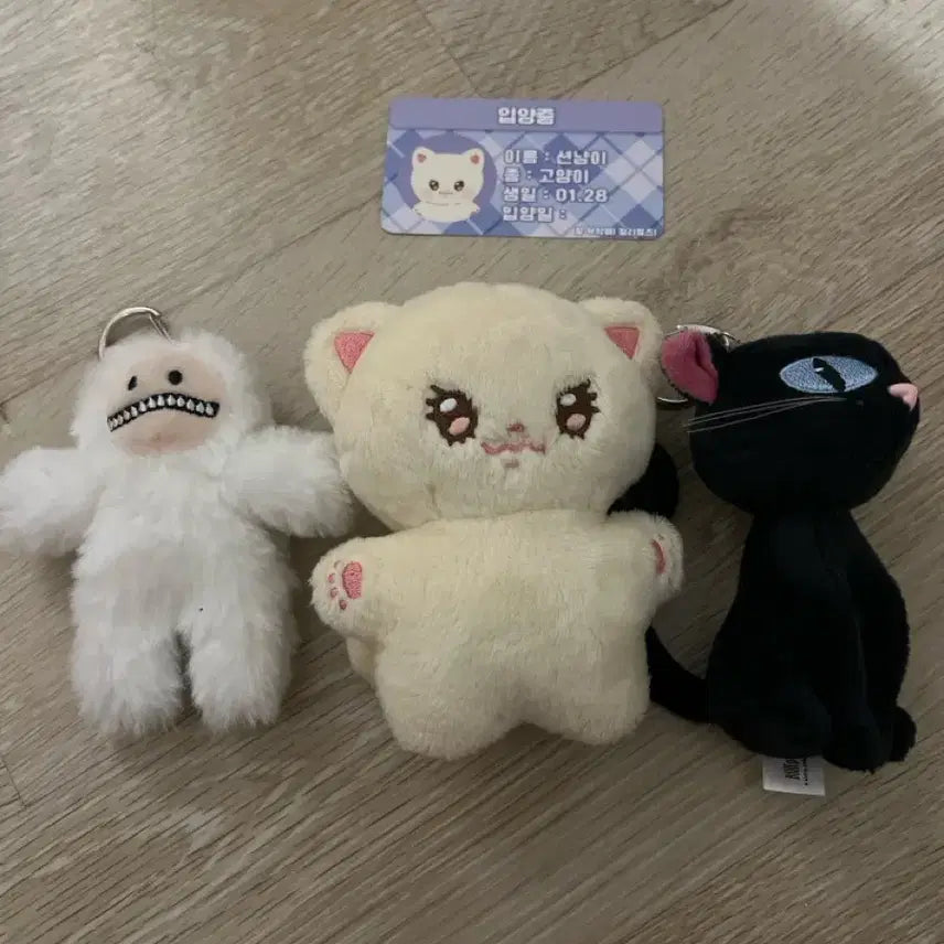 빌리 인형 팔아요