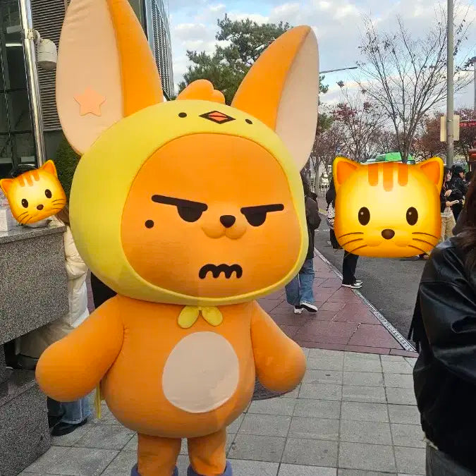 연준  공방포카