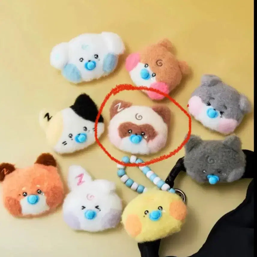 제로베이스원 장하오 뱃지