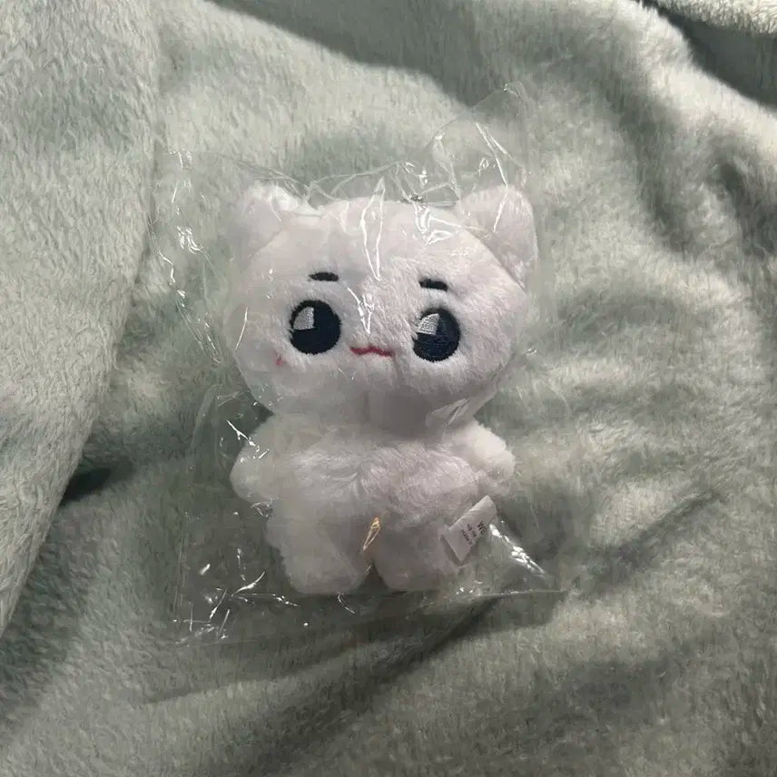 미개봉) 툥냐 양도 툥냐툥야 태용인형 엔시티127태용