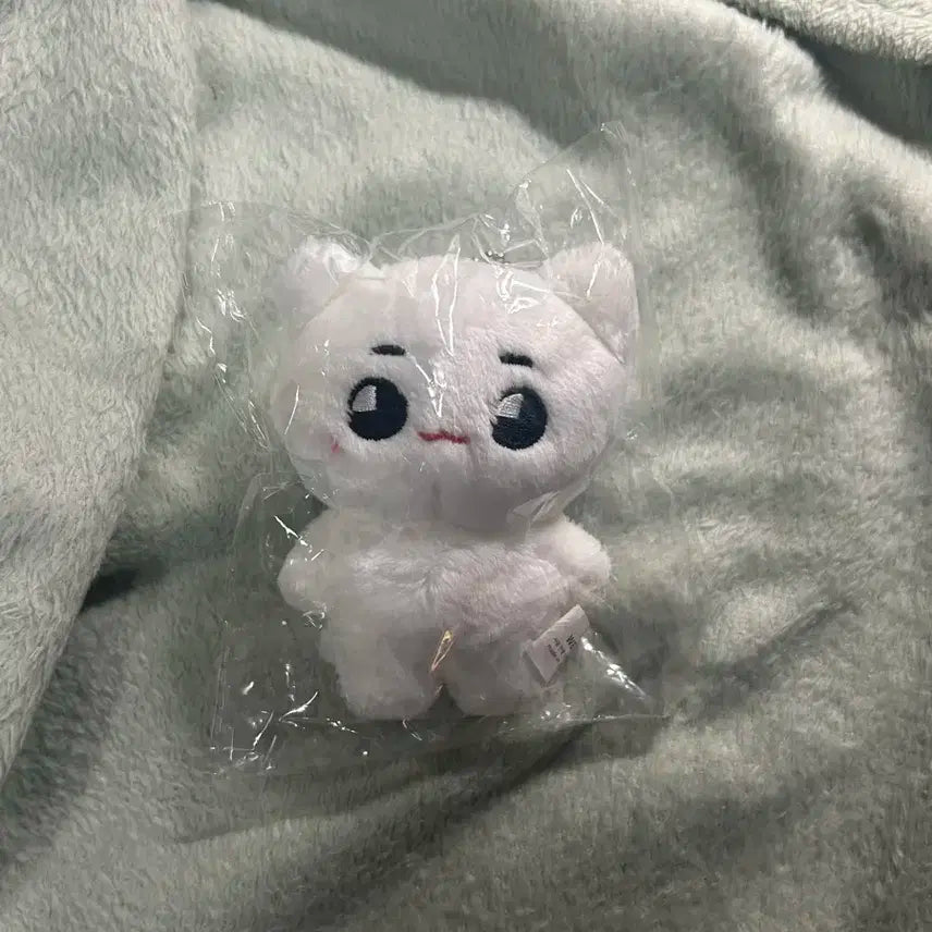 미개봉) 툥냐 양도 툥냐툥야 태용인형 엔시티127태용