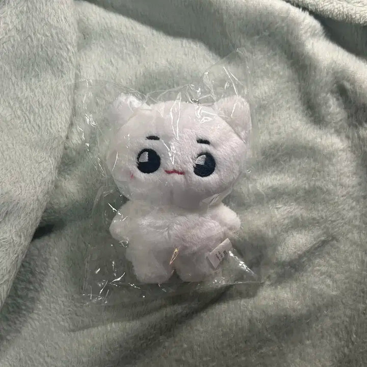 미개봉) 툥냐 양도 툥냐툥야 태용인형 엔시티127태용