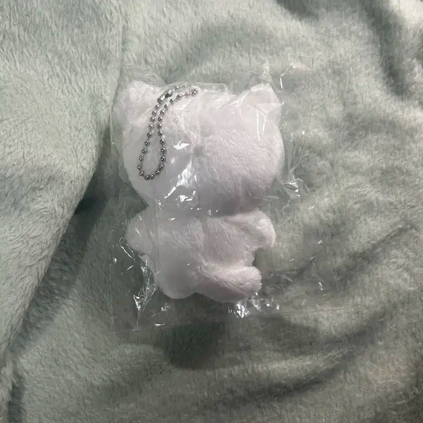 미개봉) 툥냐 양도 툥냐툥야 태용인형 엔시티127태용