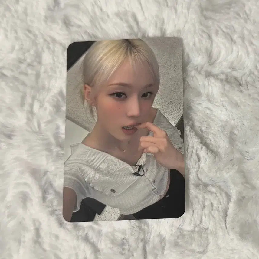 아마겟돈 메이크스타 윈터 양도