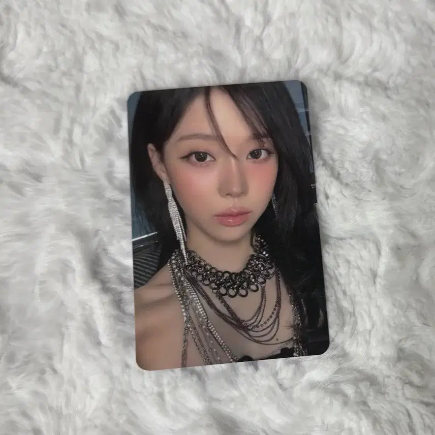 리치맨 디마뮤 윈터 양도