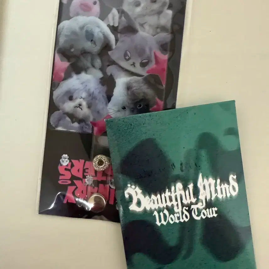 엑디즈 뷰마 서울 첫콘 입장포카 폰탭