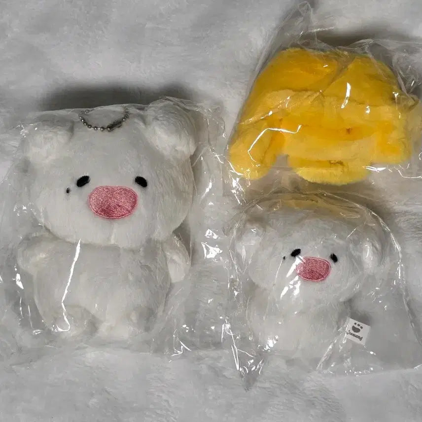 젠멍이 양도해요! NCT 제노 인형 솜뭉치