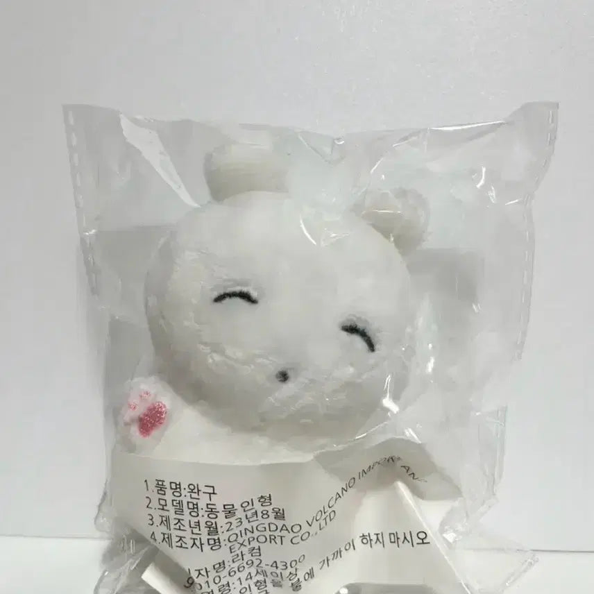 르세라핌 카즈하 즈꼼