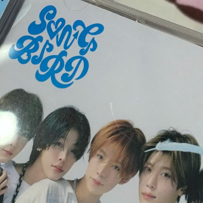 엔시티위시 엔위시 nct wish 송버드 단체버전 일본반 songbird