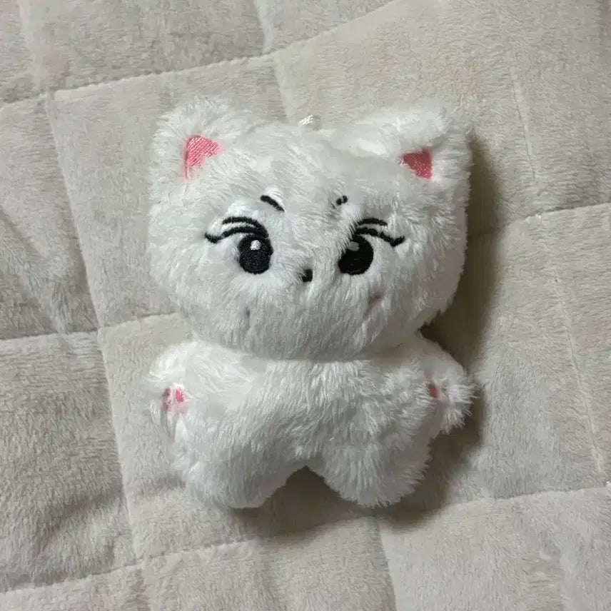 양꼬미 엔하이픈 정원 인형 양도