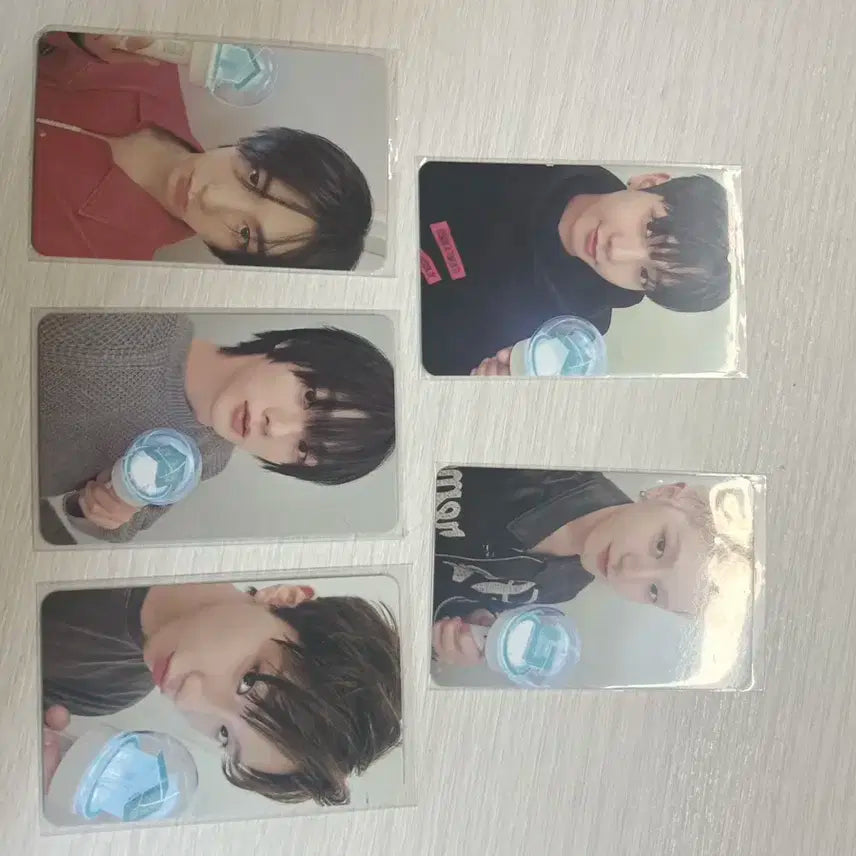 보넥도 응원봉포카 일괄