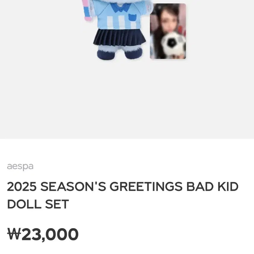 에스파 윈터 인형 뭉탱이