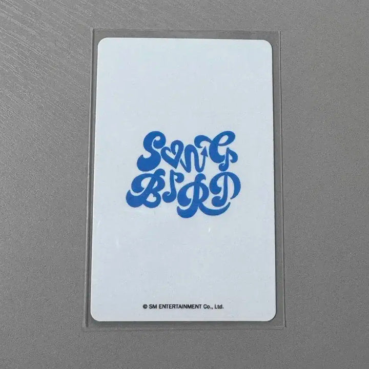 엔시티 위시 리쿠 송버드 kms 미공포