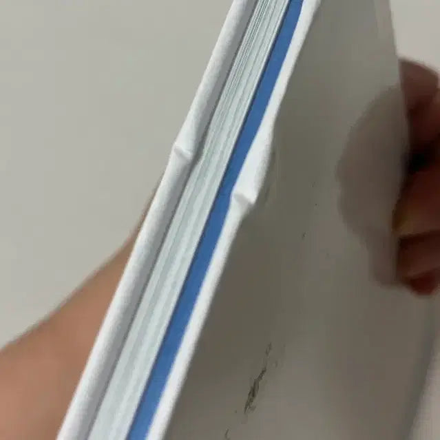 (미개봉) 아라시 팬클럽한정 카이토 앨범