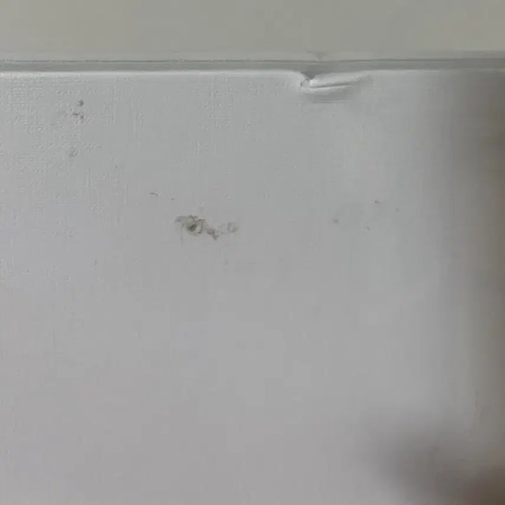 (미개봉) 아라시 팬클럽한정 카이토 앨범