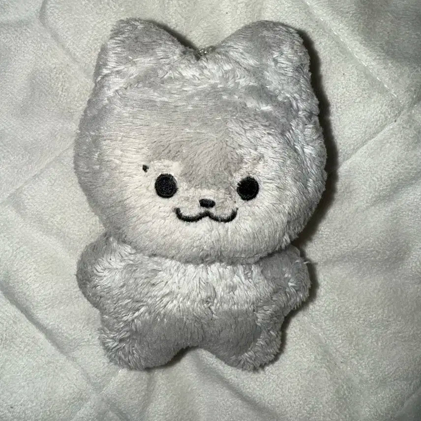 더보이즈 주연 인형 쥬냥이 양도