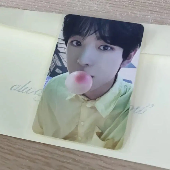 바로 배송)nct wish 팝츄