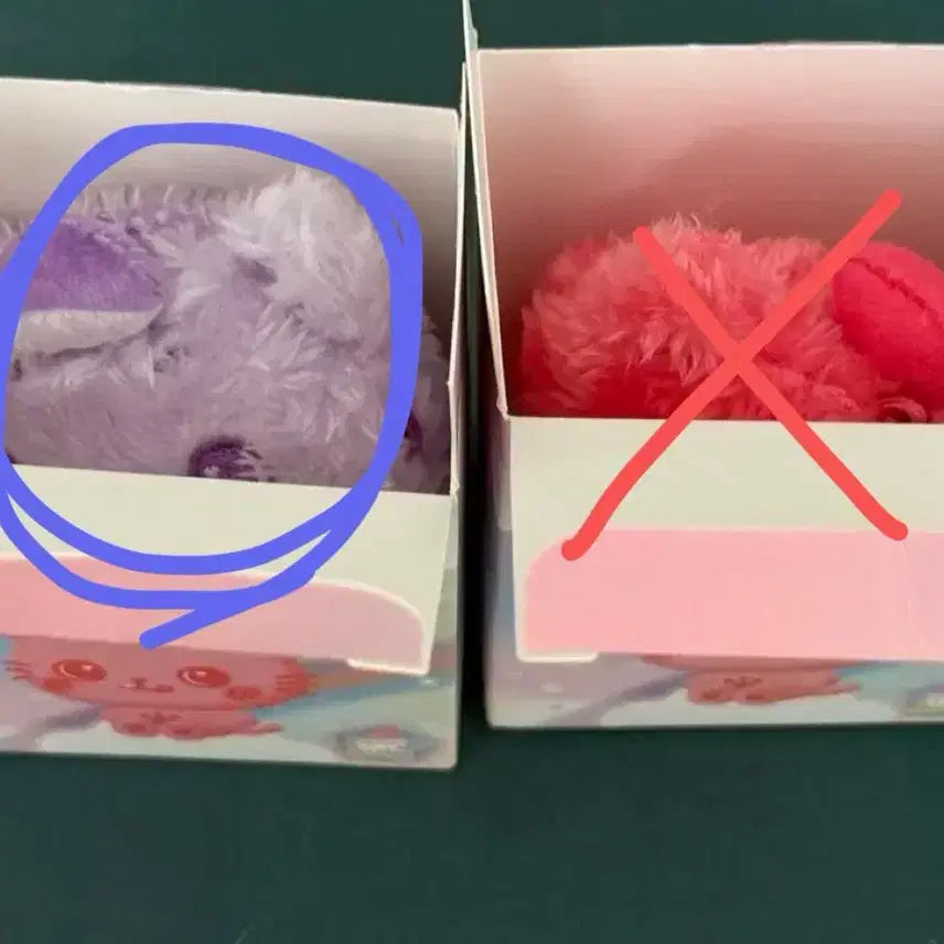 컬러돌 위시돌 엔시티위시 쿠리 리쿠 보라 교환 양도