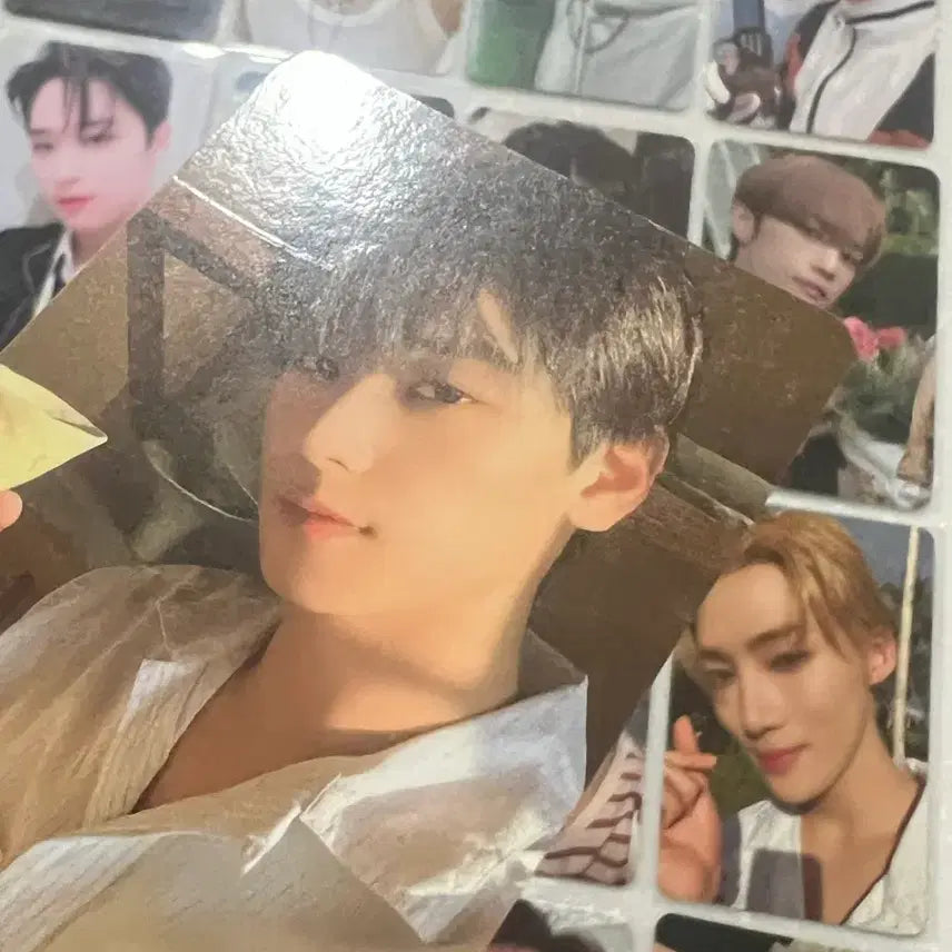 배포) 더보이즈 포카 일괄 양도 / 주연 현재 선우 에릭 뉴