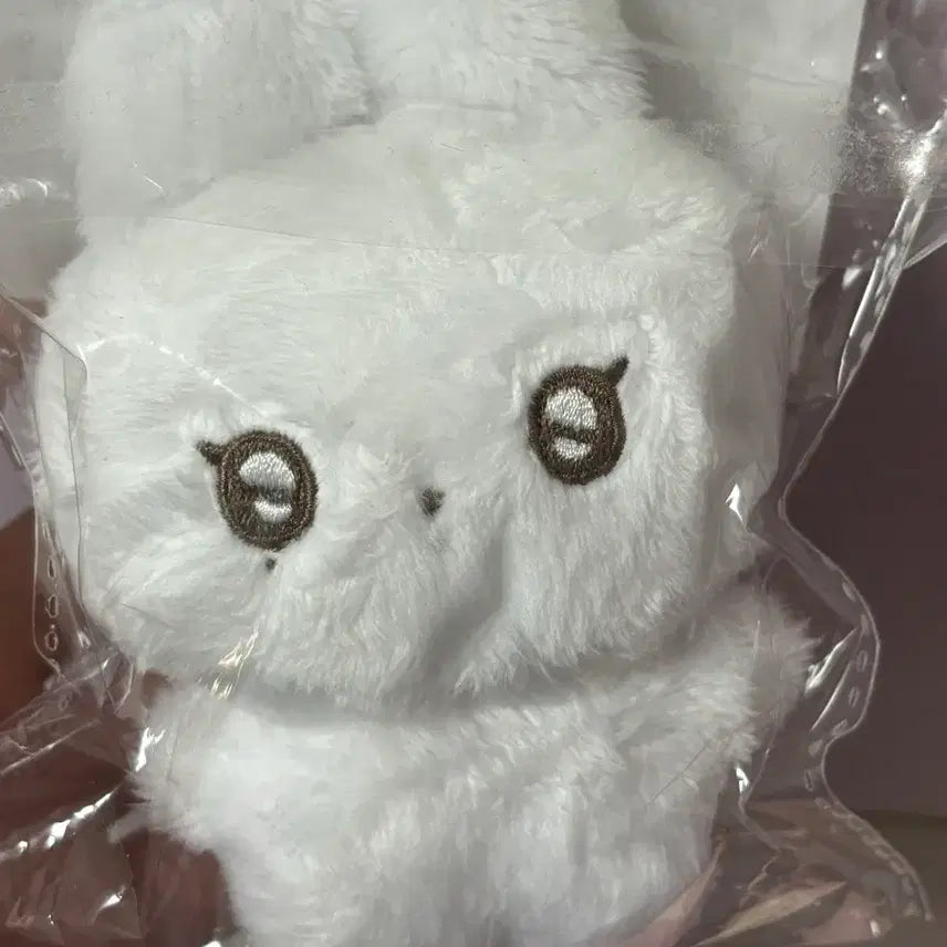 엔시티 위시 시온 인형 양도