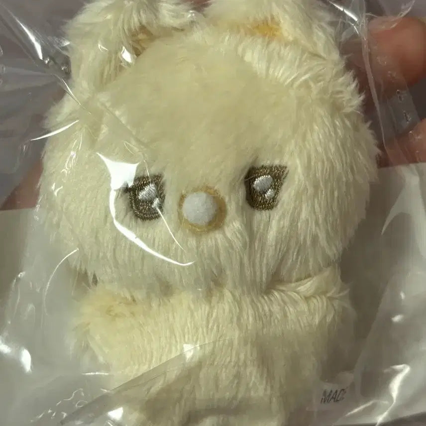 엔시티 위시 유우시 인형 양도