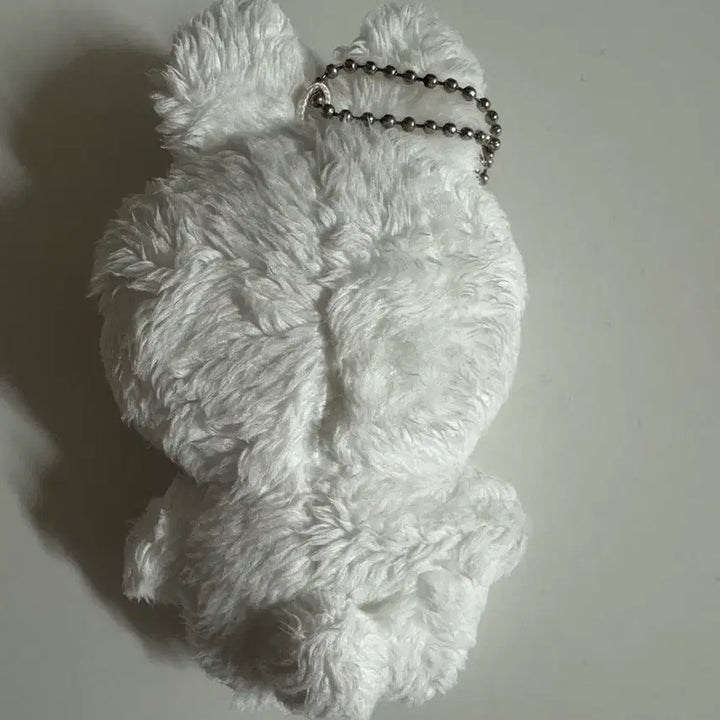 nct 127 도영 인형 하또 양도