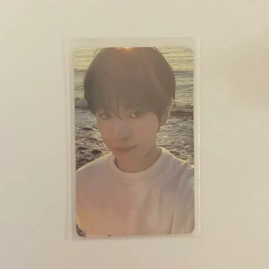 엔시티위시 유우시 스테디 포토카드 kms qr