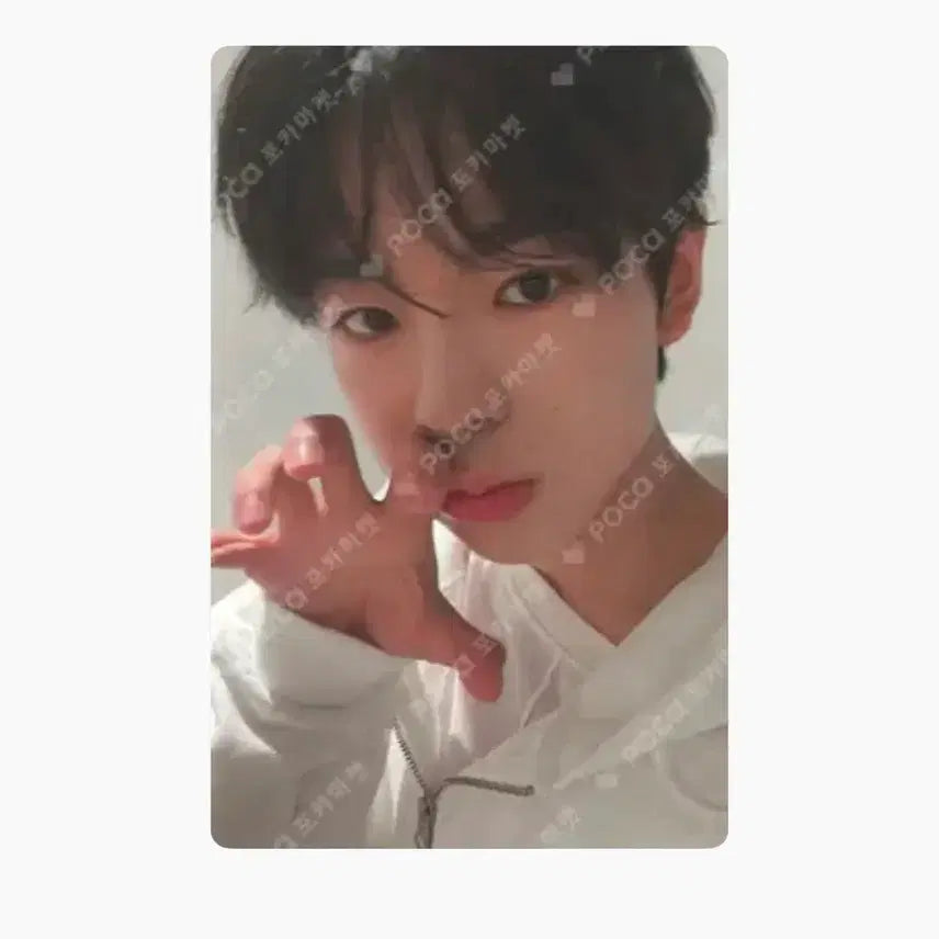 엔시티위시 유우시 스테디 포토카드 에버라인