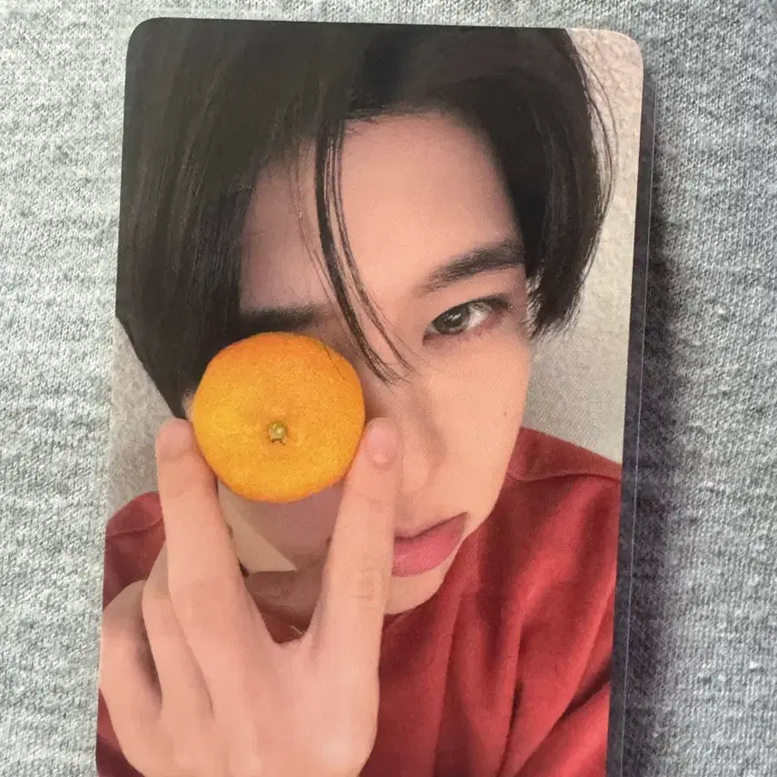 Nct wish 시온 귤 포카 판매