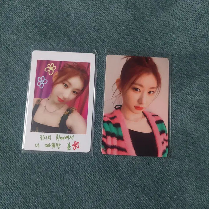 있지 채령 포카 일괄