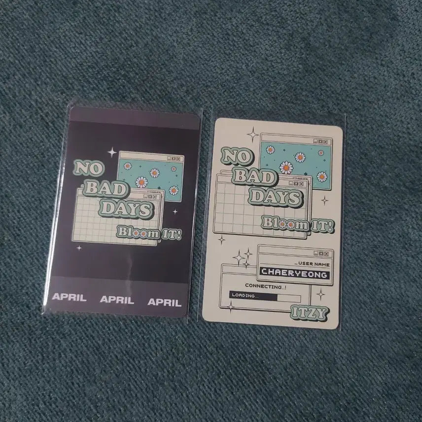 있지 채령 포카 일괄