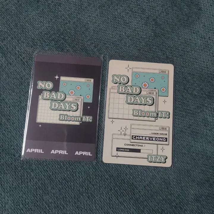 있지 채령 포카 일괄