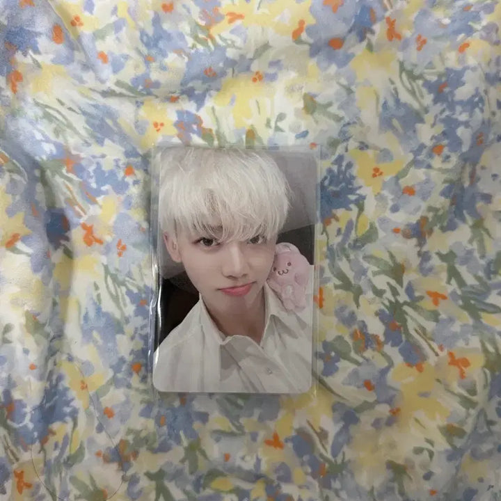 엔시티드림 재민 포토카드