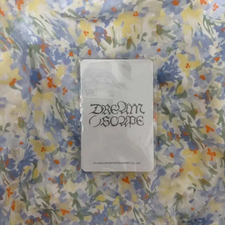 엔시티드림 재민 포토카드