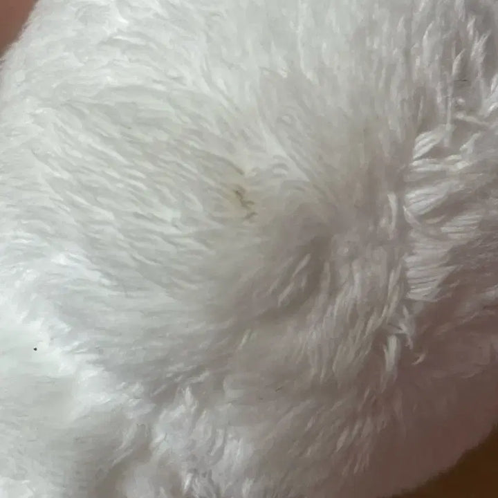 세븐틴 에스쿱스 인형 쿱니니