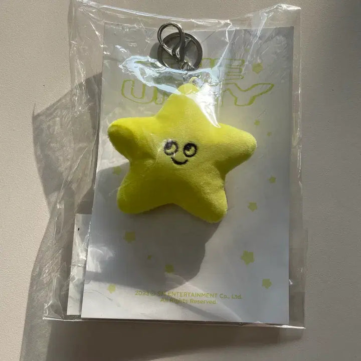 미개봉 nct127 엔시티 태용 불가사리 툥가사리 인형 키링