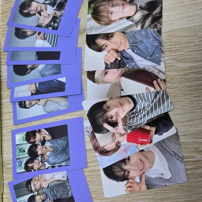 투어스 하우스메이트