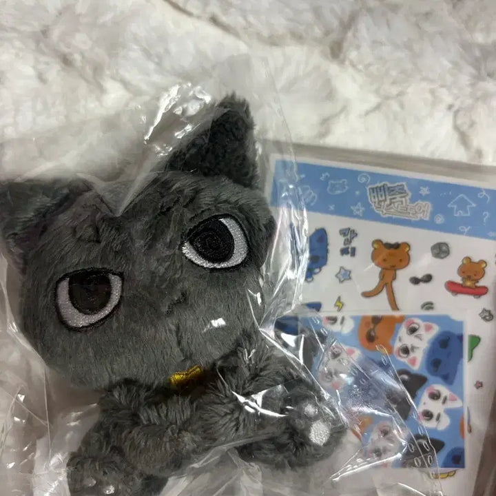 보이넥스트도어 성호인형 성게냥