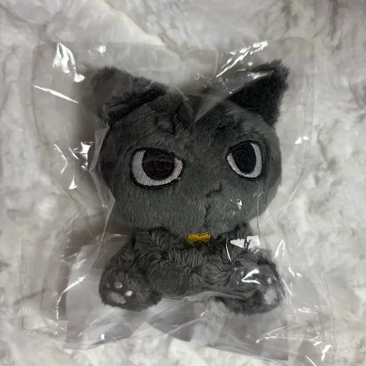 보이넥스트도어 성호인형 성게냥