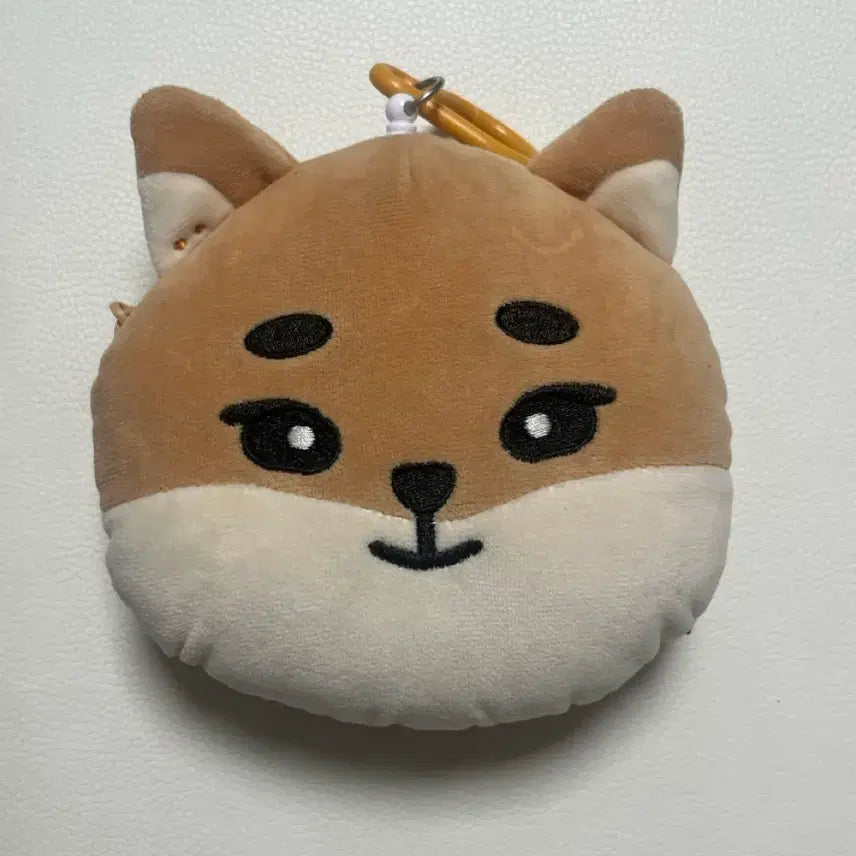 데이식스 피날레콘 엠디 릴패스 케 원가이하양도