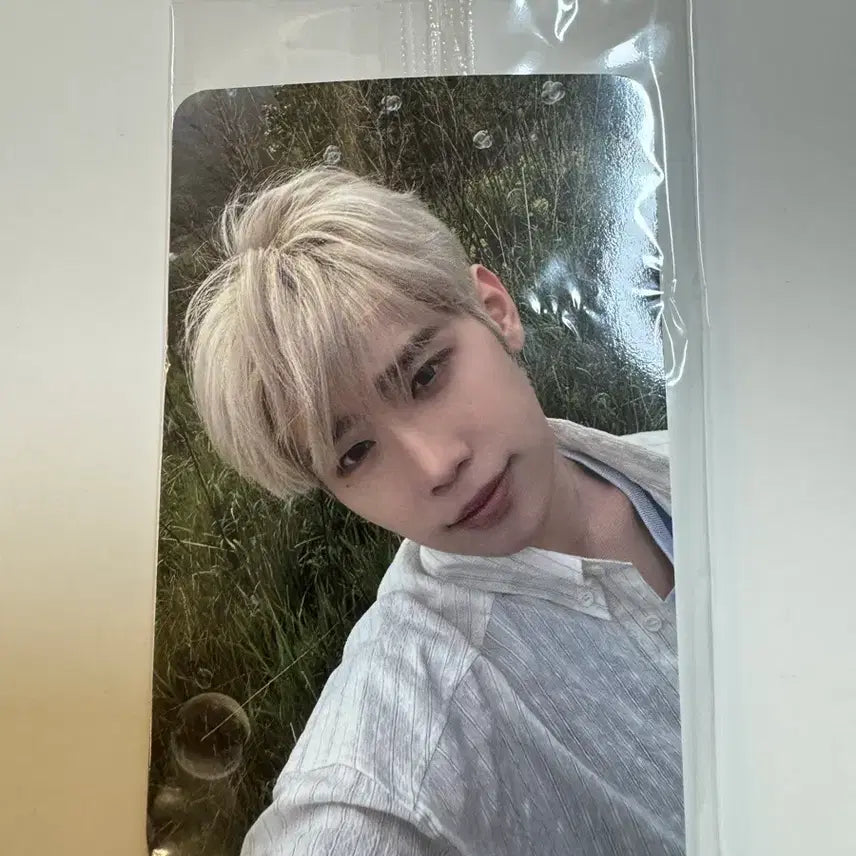 제로베이스원 zb1 never say never 케타포 디지팩 김태래