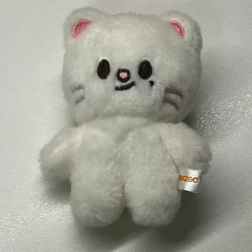 (급처)스키즈 콩키주 지니렛