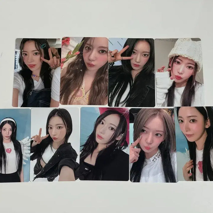 르세라핌 사쿠라 앨포 언포기븐 안티프레자일 포카